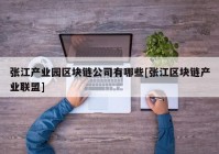 张江产业园区块链公司有哪些[张江区块链产业联盟]